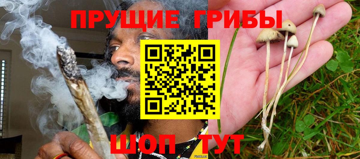 Псилоцибиновые грибы Psilocybine cubensis  Вход с VPN  Усолье-Сибирское 